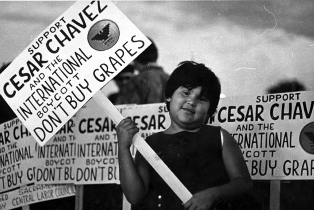 cesar chavez and the united farm workers